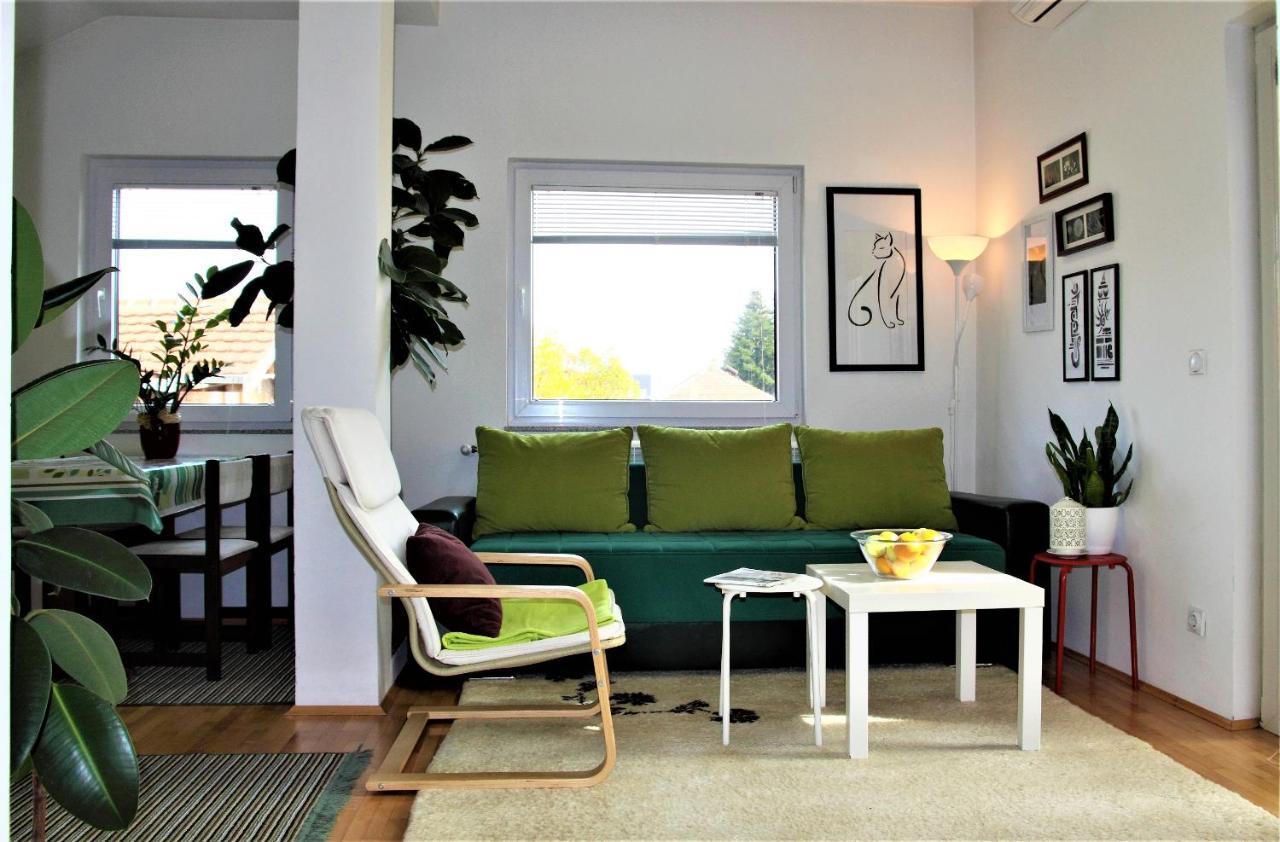 Central Modern Apt ストルガ エクステリア 写真